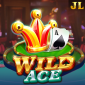 Wild Ace on Orion Game